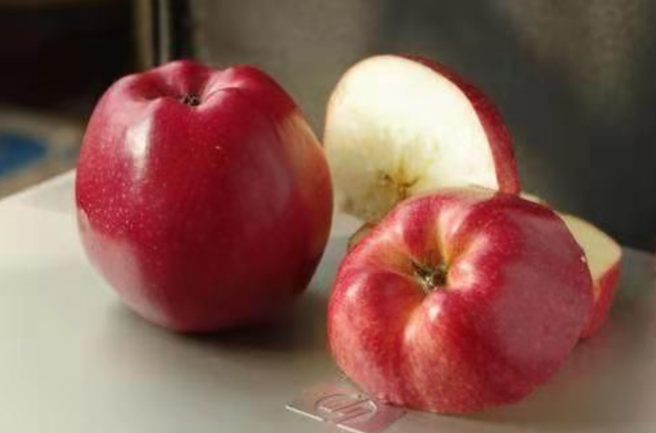 晚上吃苹果等于吃毒药？你认同吗？